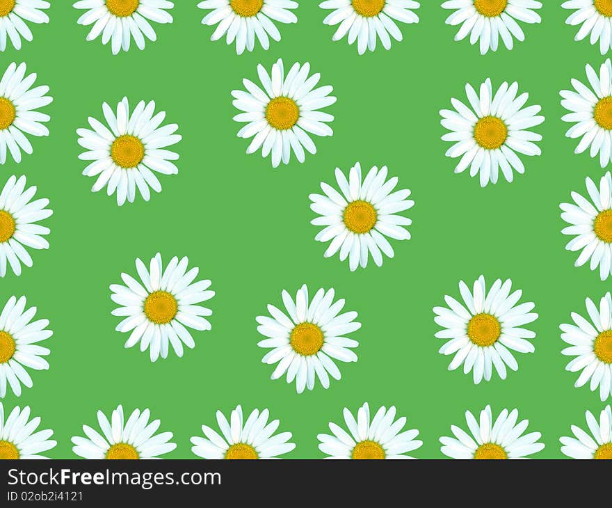 Flowers on green background.