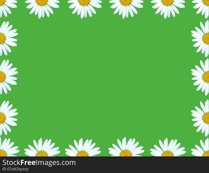 The frame of daisies is shown in the picture. The frame of daisies is shown in the picture.