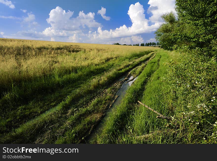 Path that runs along the grain. Path that runs along the grain