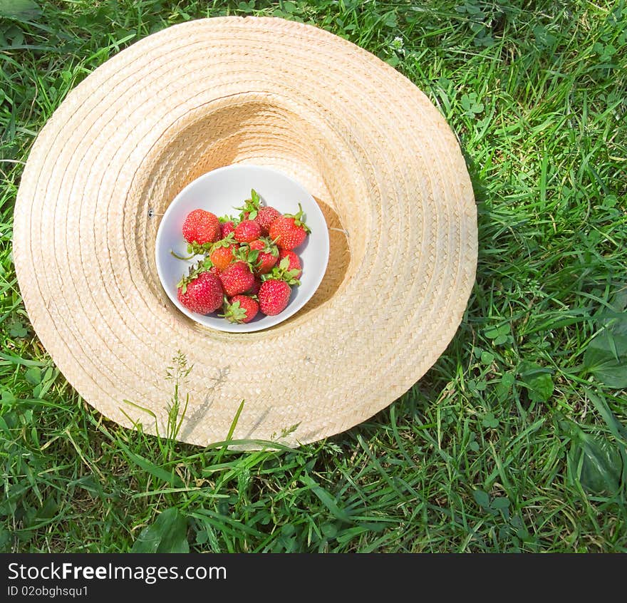 Summer Still Life with Strawberries on the grass. Summer Still Life with Strawberries on the grass