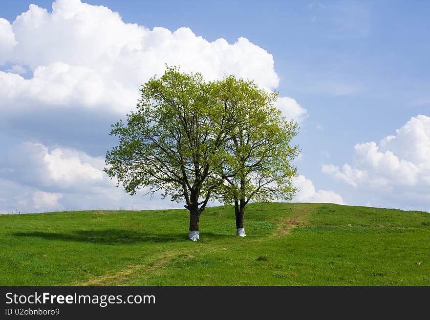 Spring landscape, Russia