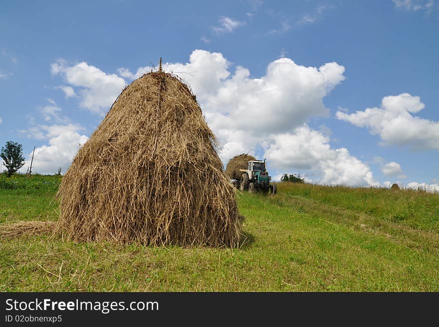 Hay preparation