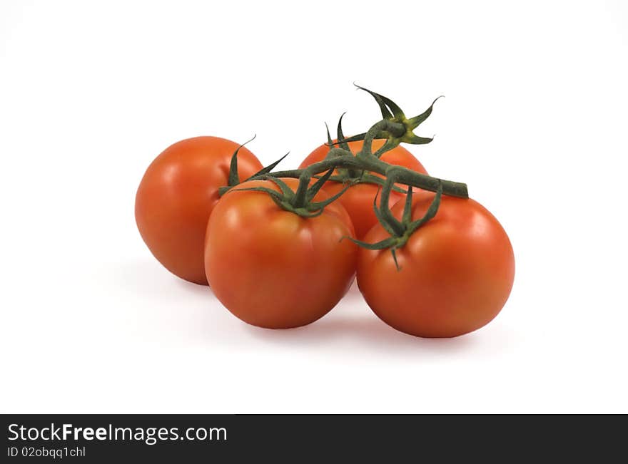 4 fresh tomato isolated on white. 4 fresh tomato isolated on white