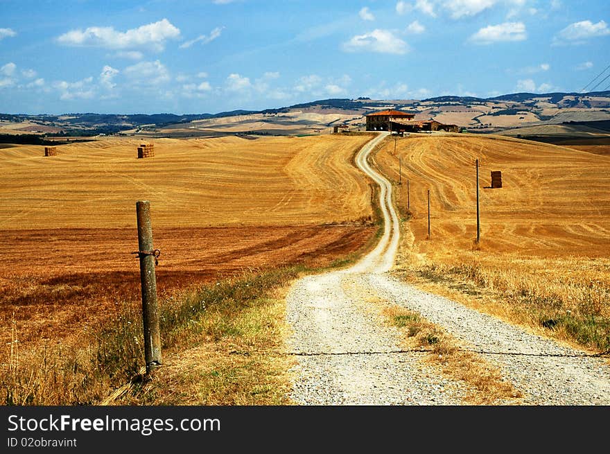 Tuscany Landscape