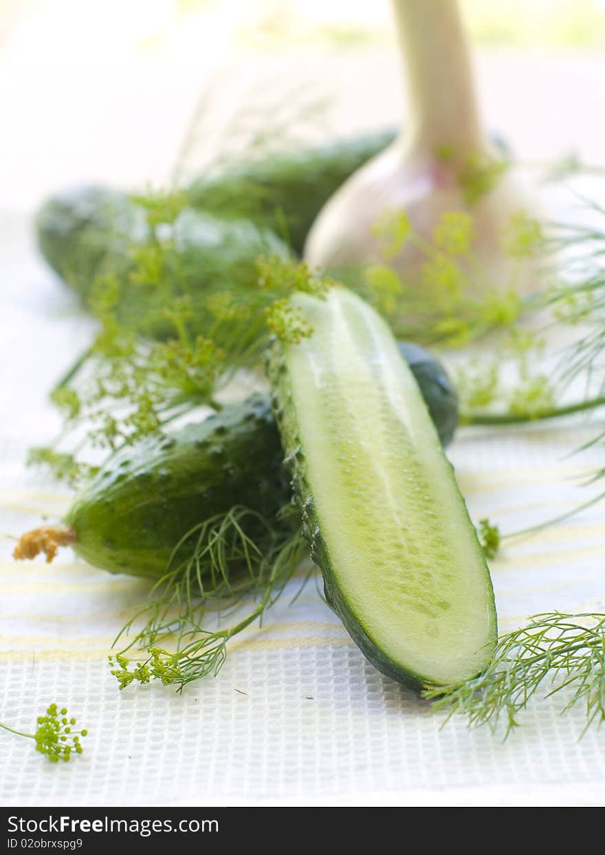 Fresh cucumber