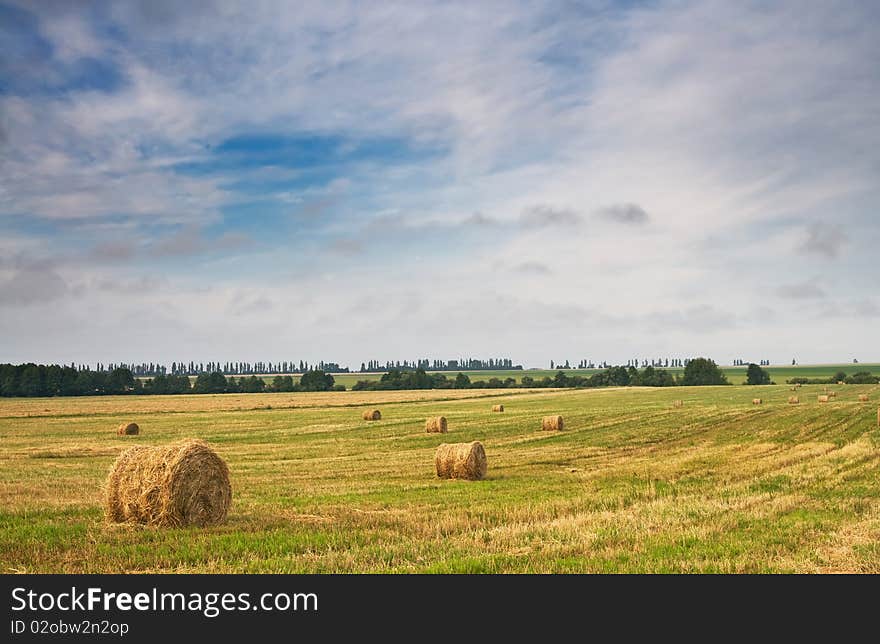 Rural landscape of haystacks and cloudy sky. Rural landscape of haystacks and cloudy sky.