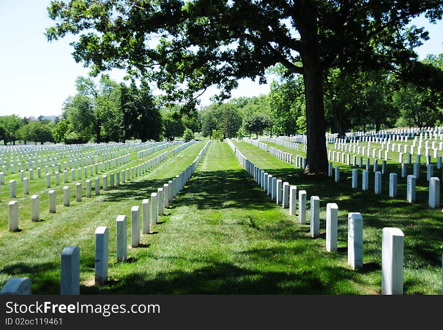 View of tombstone rows at Arlington National Cemetery