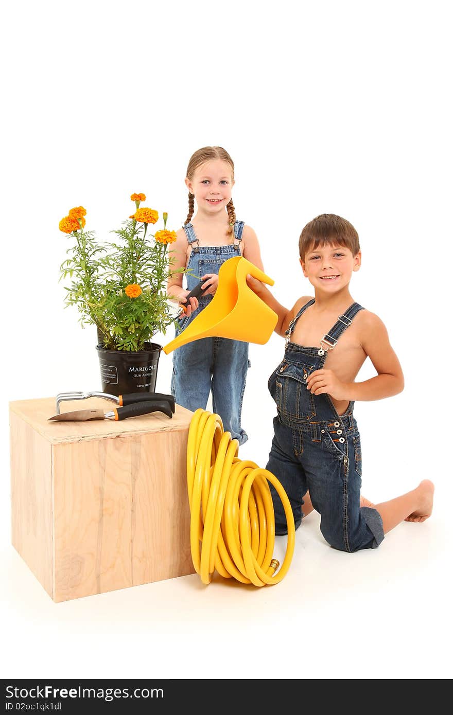 Attractive 5 and 6 year old brother and sister gardening. Attractive 5 and 6 year old brother and sister gardening.