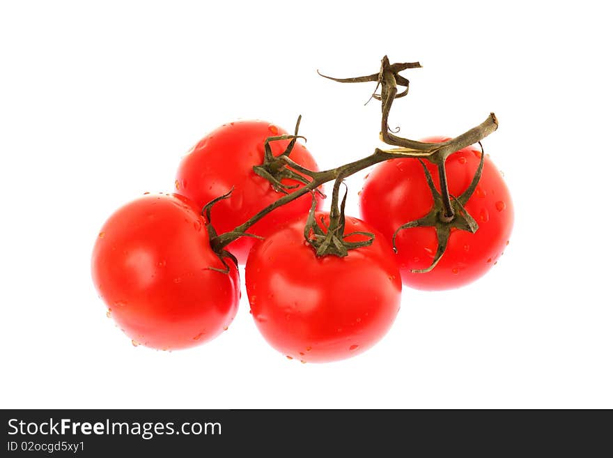 Tomato