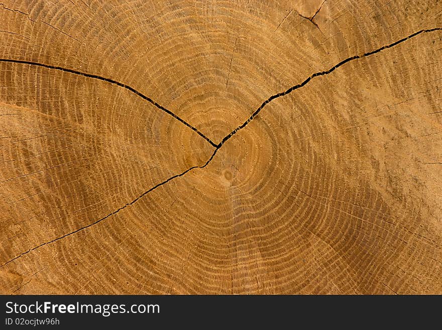 Wooden block detail as background. Wooden block detail as background