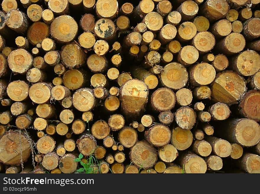 Firewood Stack Background