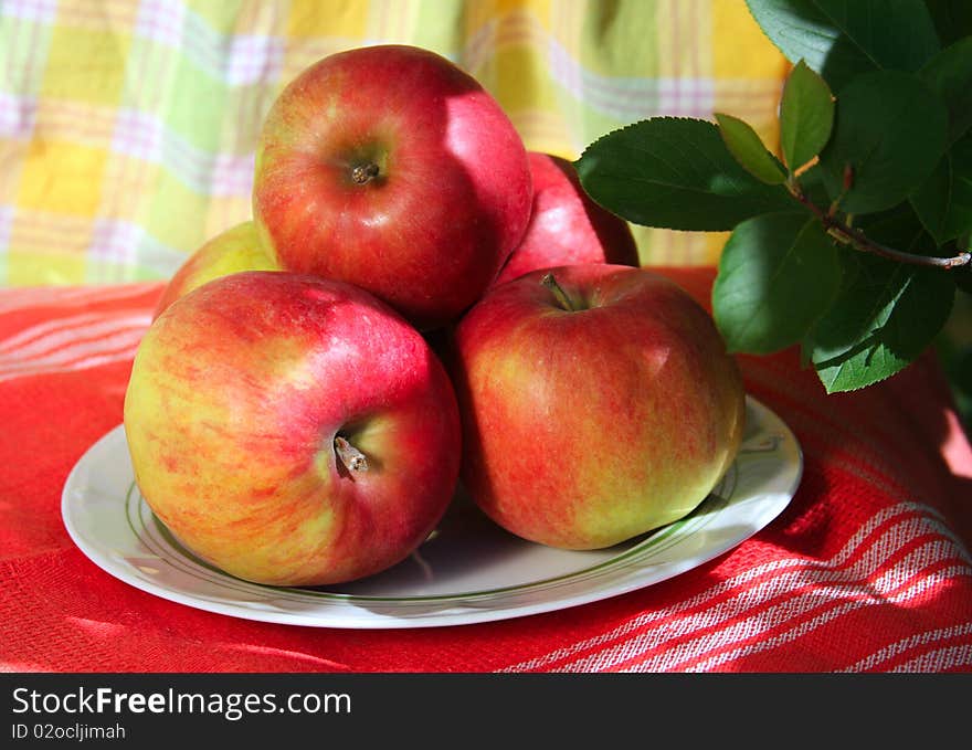 The plate with apples costs on a red cloth in a garden, in a lacy shade of trees. The plate with apples costs on a red cloth in a garden, in a lacy shade of trees