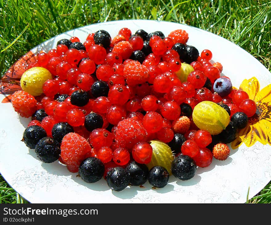 Plate with fresh fruits of currants and berries. Plate with fresh fruits of currants and berries