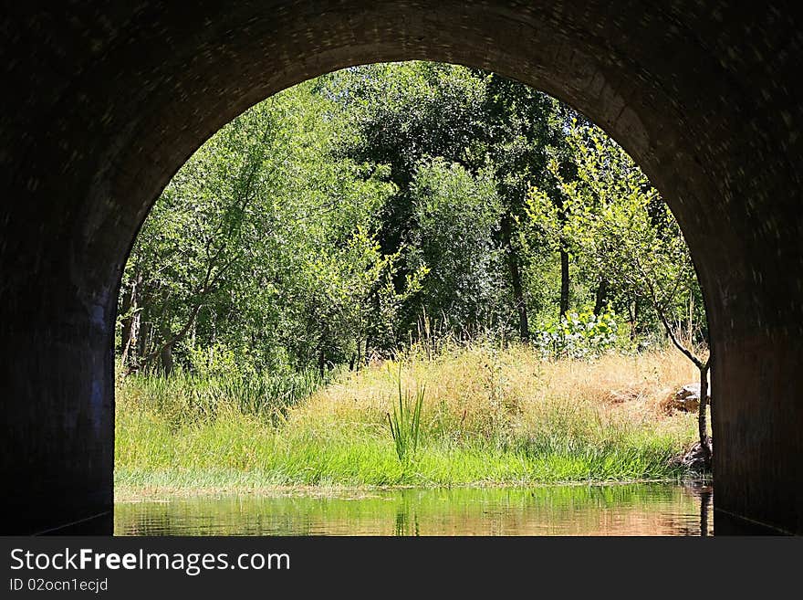 Vault is visible from the dark sun-drenched vegetation. Vault is visible from the dark sun-drenched vegetation