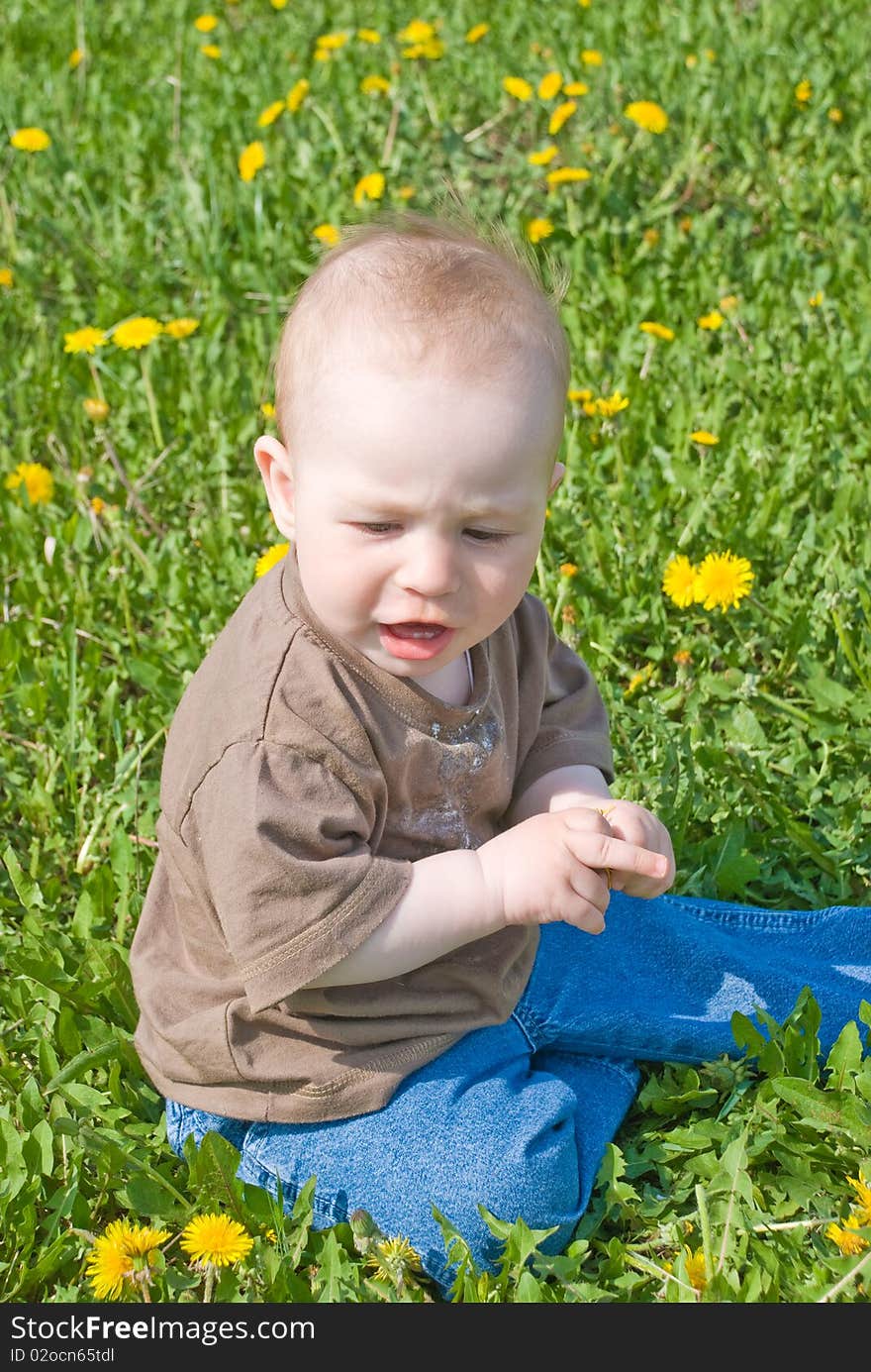 Beautiful little boy looks in green summer meadow