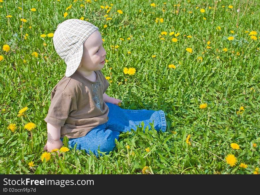 Beautiful little boy looks in green summer meadow