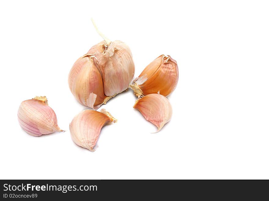 Garlic