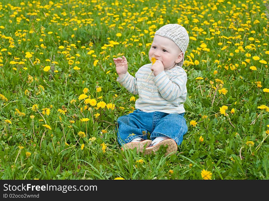 Beautiful little boy looks in green summer meadow