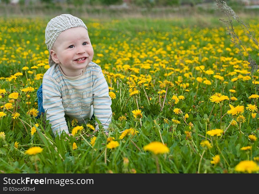 Beautiful little boy looks in green  meadow