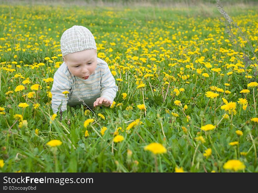 Beautiful Little Boy Looks In Green  Meadow