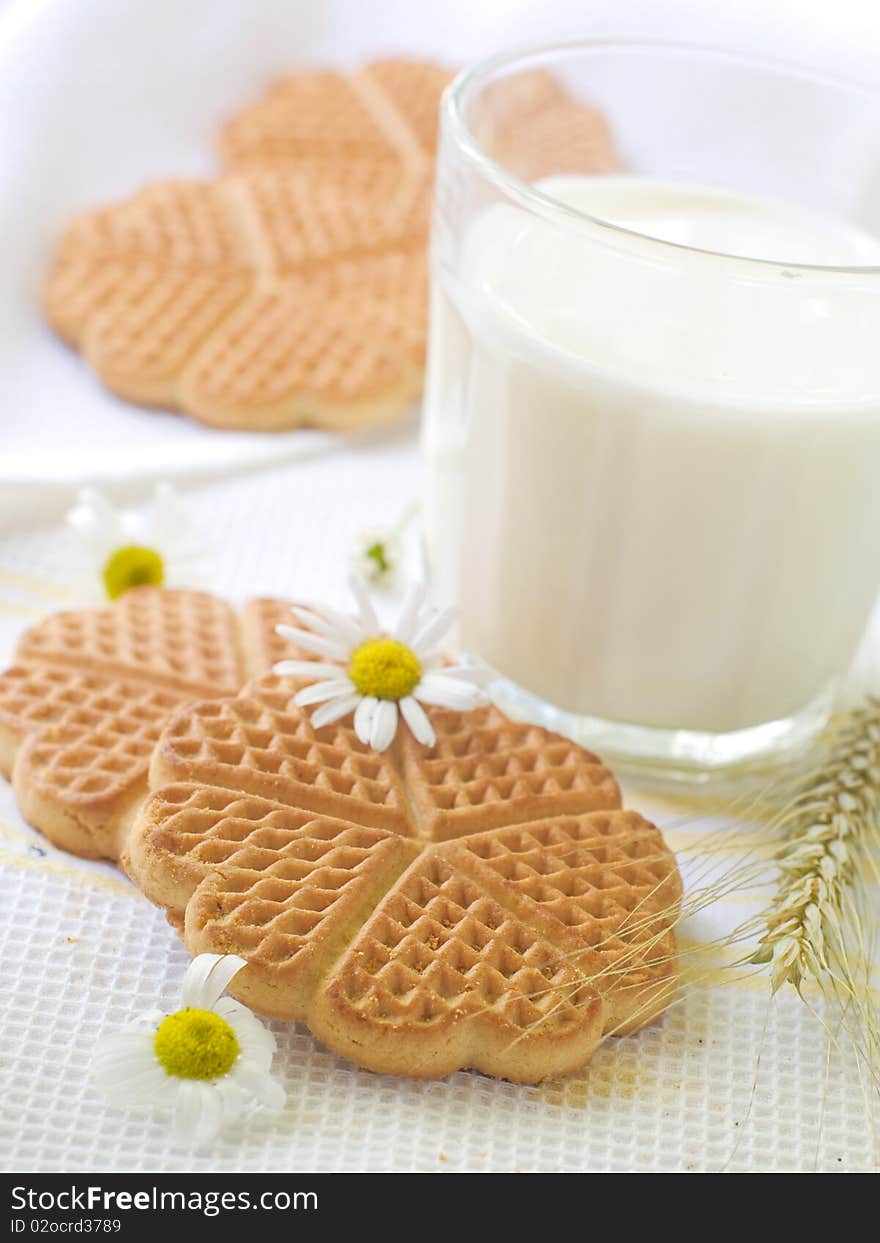 Glass of milk and cookies on light kitchen towel