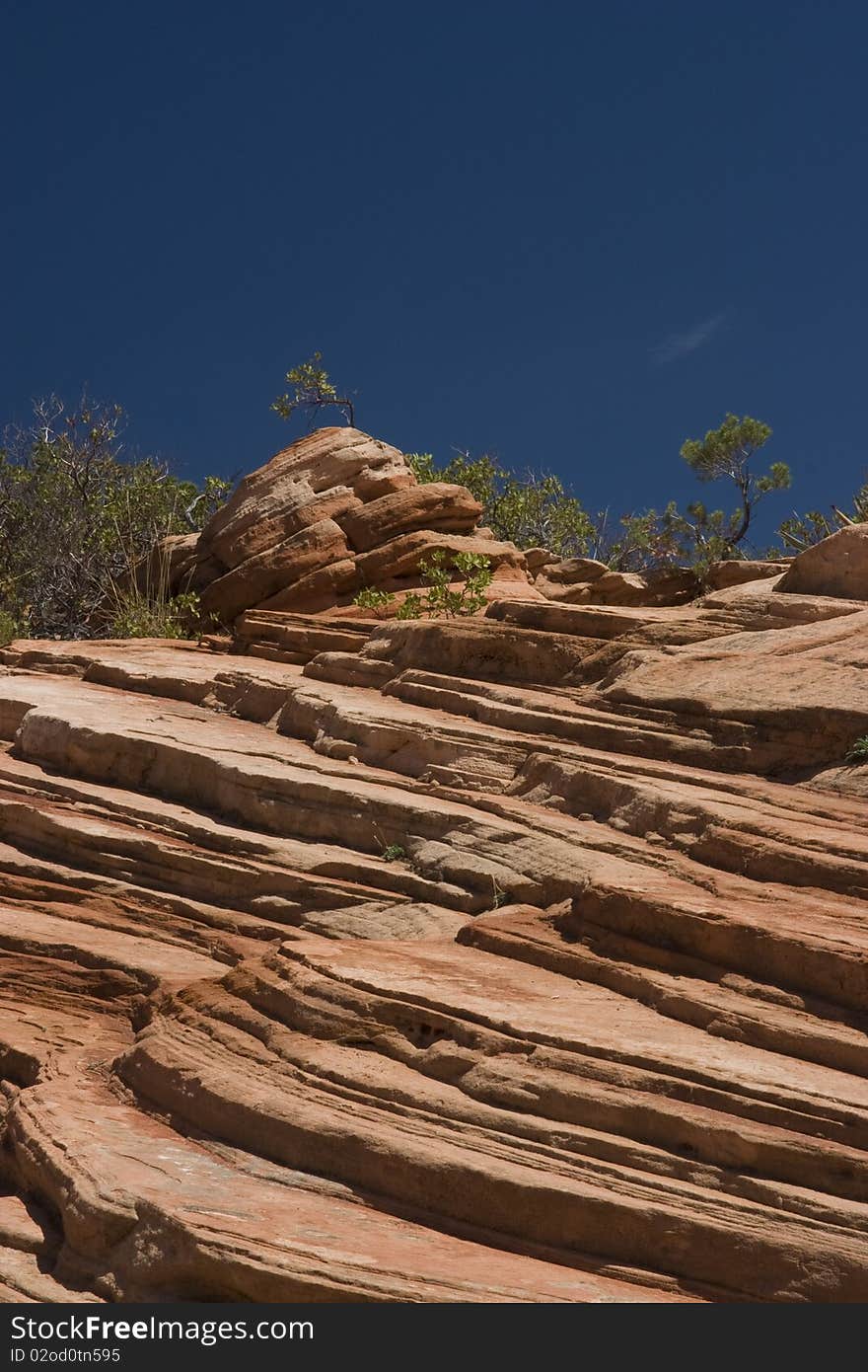 View of the Red Canyon in the south of the State of Utah