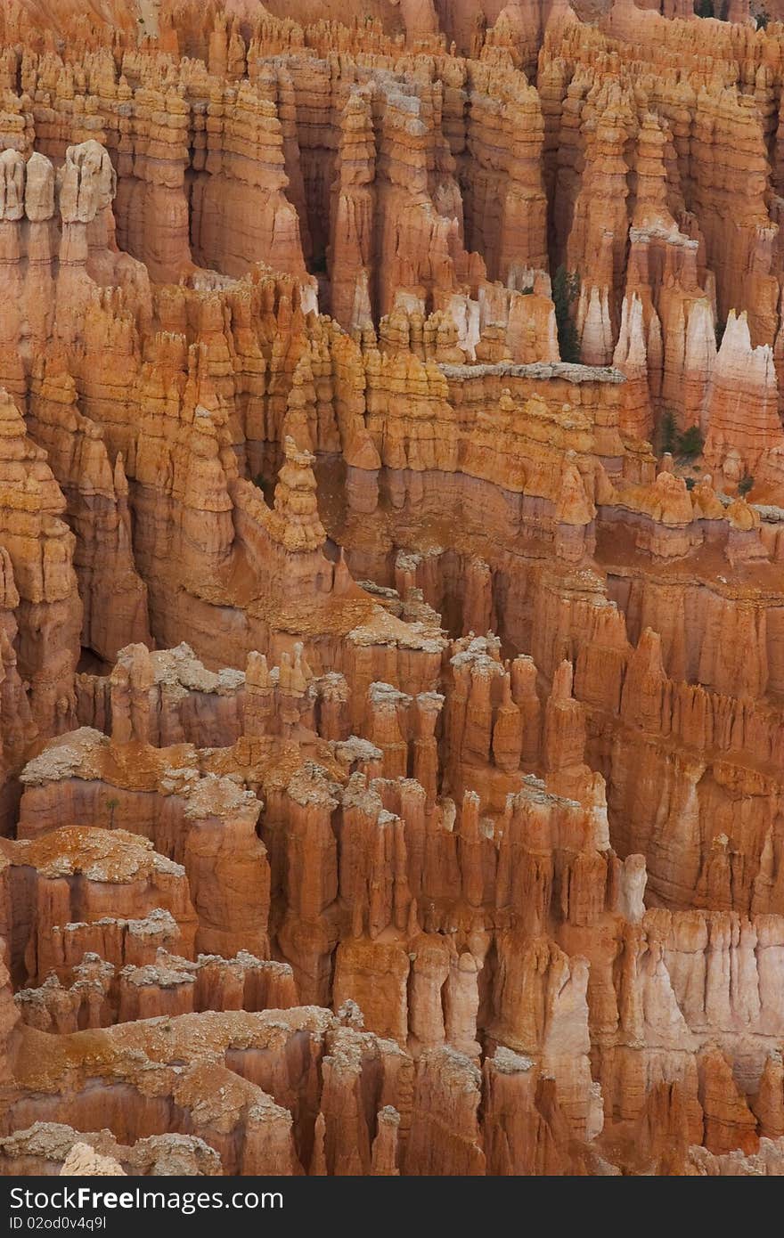 Hoodoos Seen From Sunset Point In Bryce Canyon National Park At Dusk