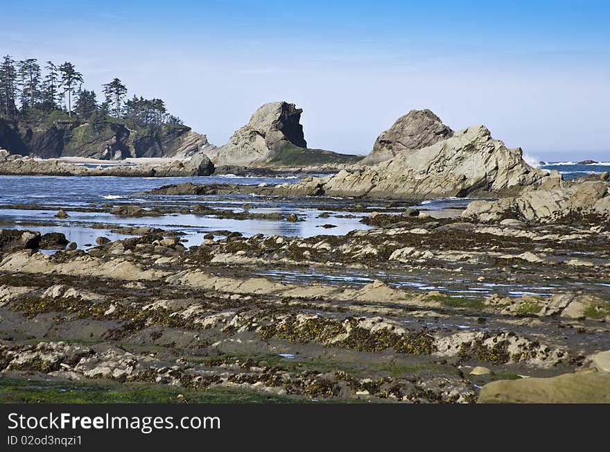 Sunset Bay at low tide near Charleston, Oregon. Sunset Bay at low tide near Charleston, Oregon