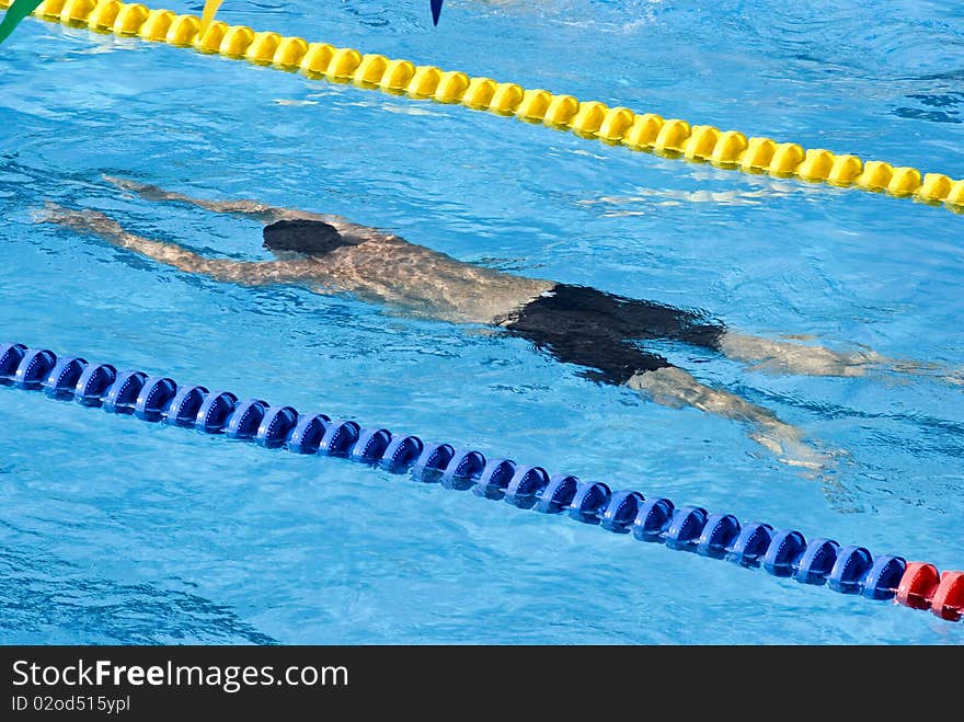 Swimmers in a pool during a contest. Swimmers in a pool during a contest