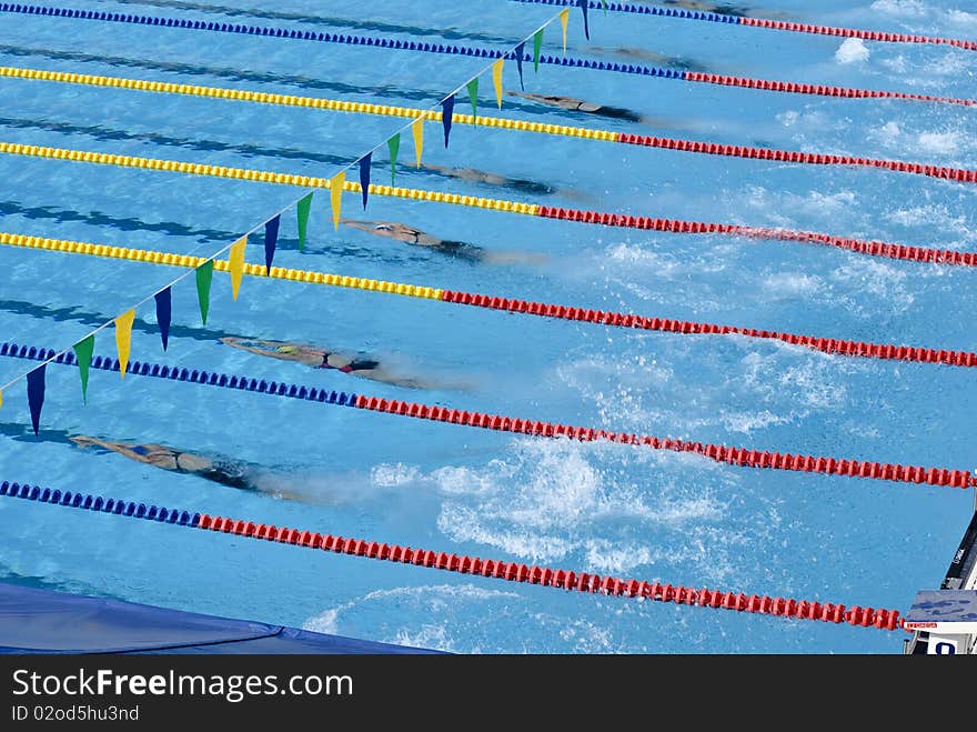 Swimmers in a pool during a contest. Swimmers in a pool during a contest