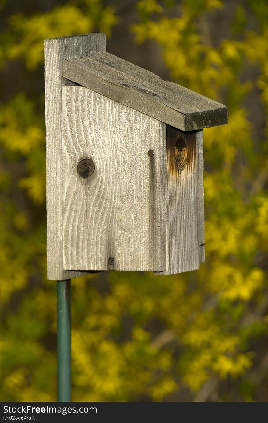 Wooden birdhouse outdoors with yellow autumn leaves in background. Wooden birdhouse outdoors with yellow autumn leaves in background