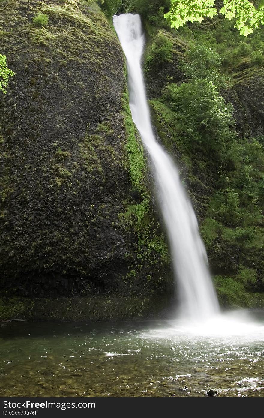 Waterfall pouring into a tranquil pool. Waterfall pouring into a tranquil pool