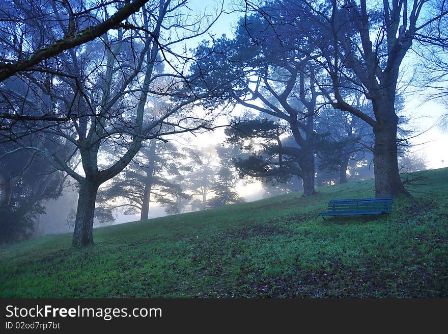 Early misty morning - Lonely bench in a park