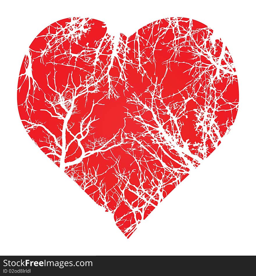 Illustration of a red heart