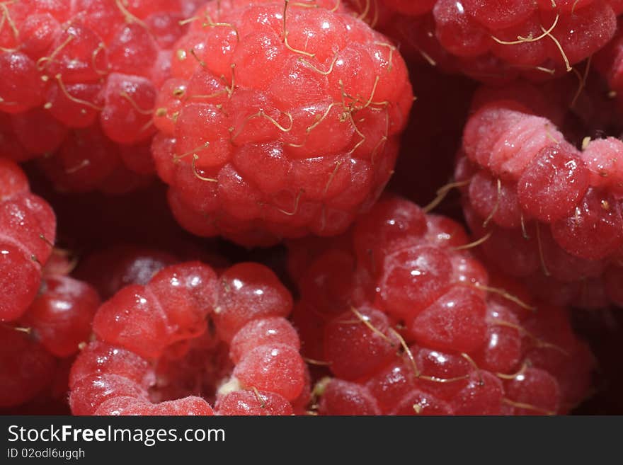 Juicy Red Raspberries