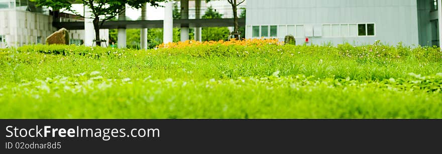 The Flower garden in Konkuk Univercity campus