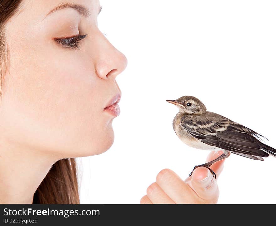 Nestling of bird (wagtail) on hand. Isolated on white