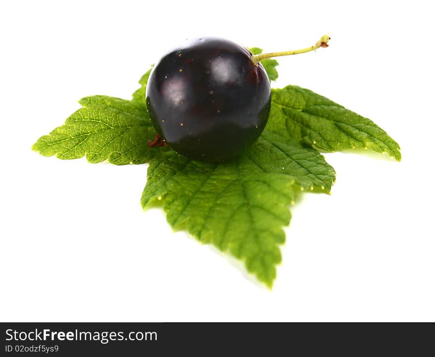 Black currants isolated on white background