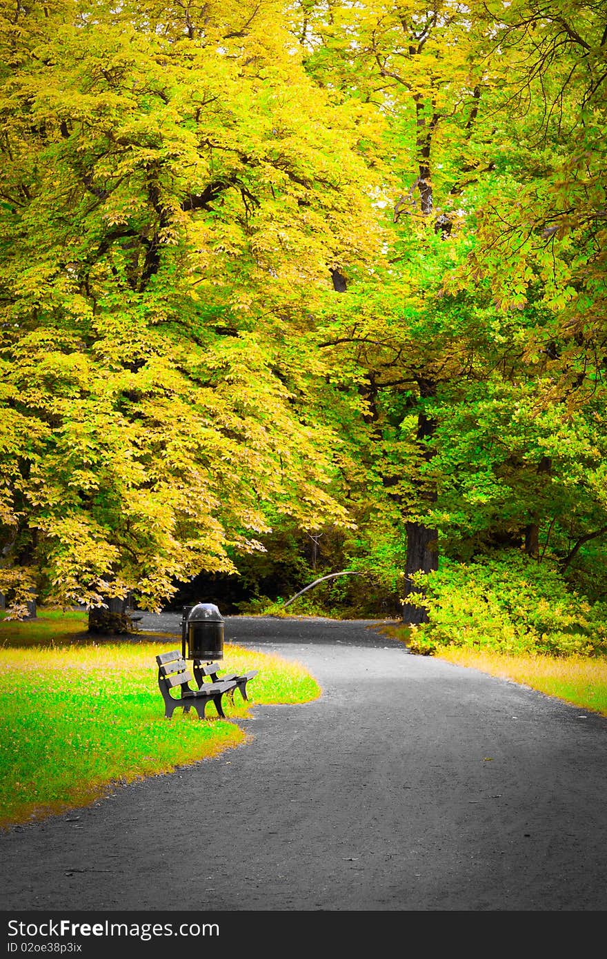 Park in spring time on a sunny day