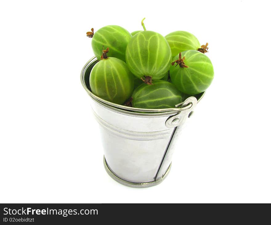 Green berries of gooseberry are in a metallic bucket. Green berries of gooseberry are in a metallic bucket