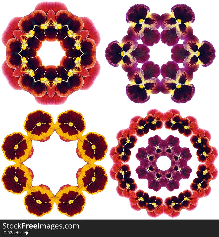 Pansy flower mandalas