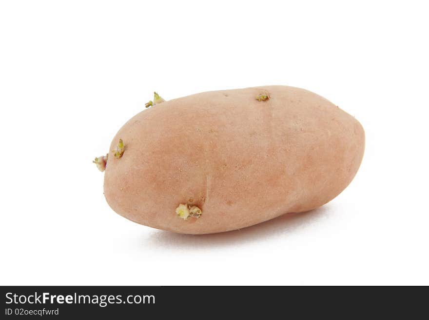 Raw potato