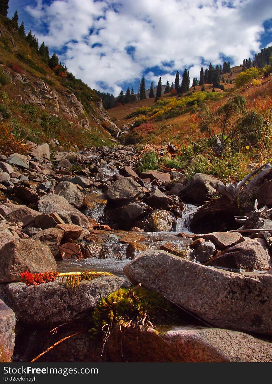 Mountain stream