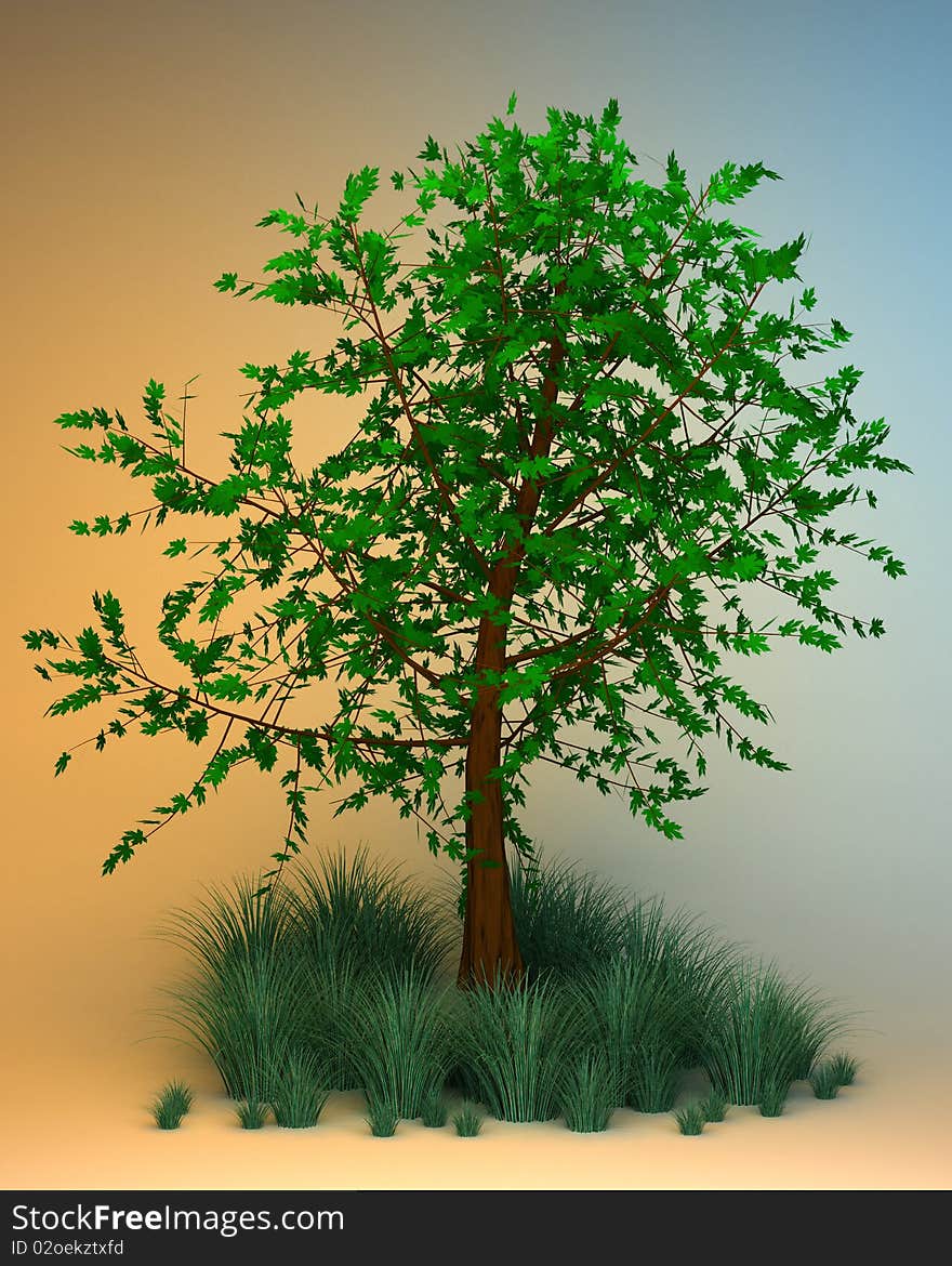 Tree And Grass