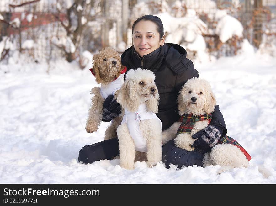 Girl with group of dogs sitting in snow. Girl with group of dogs sitting in snow