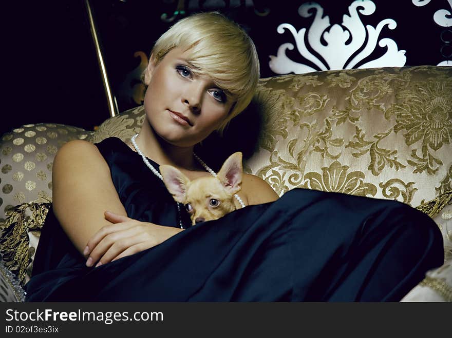 Girl In Luxury Interior With Chihuahua