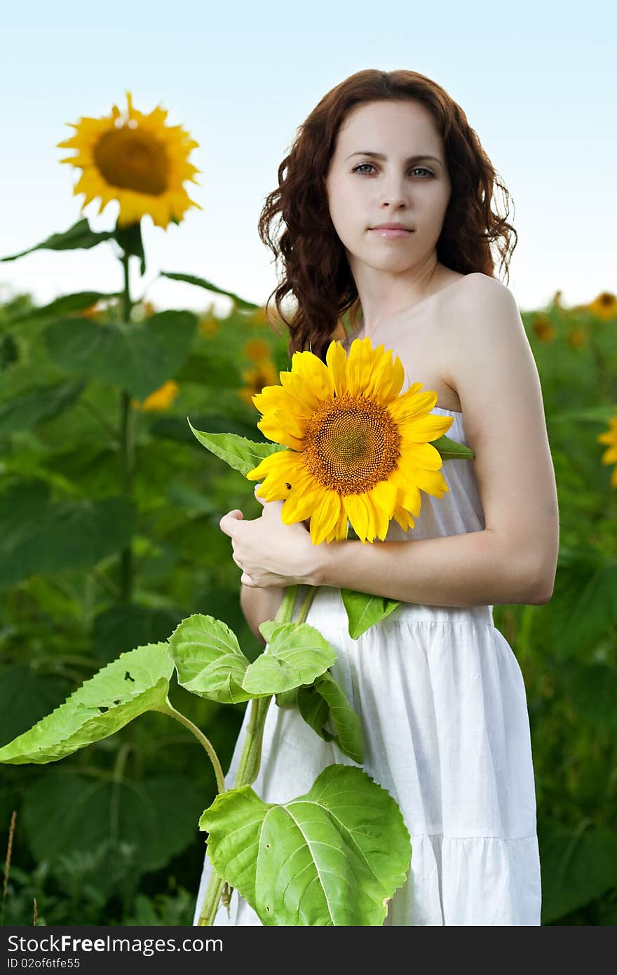 Beauty Woman In Sunflower