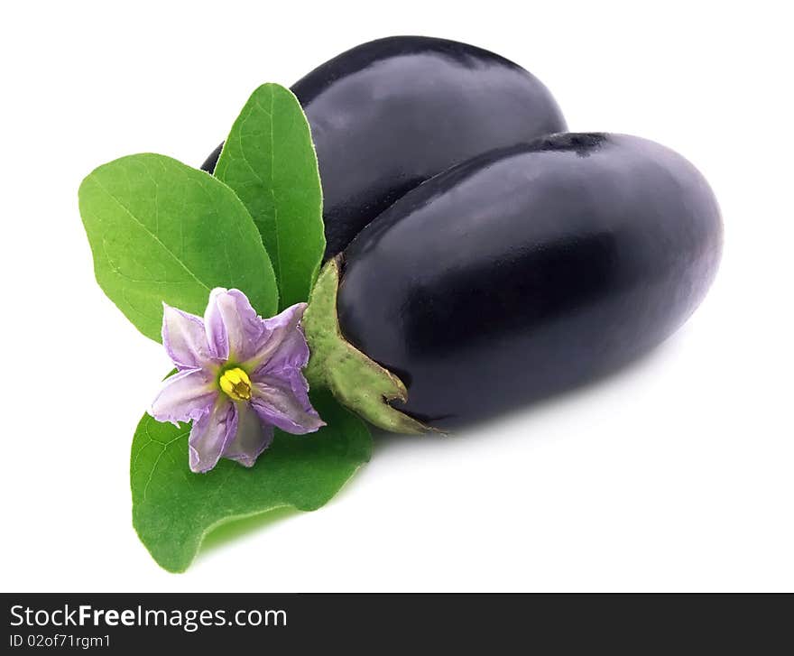 Two ripe eggplants with flower on white background