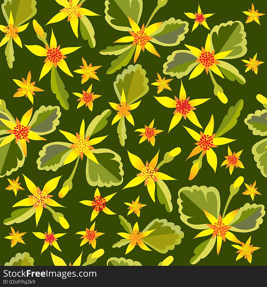 Flower background with Crassula. Vector illustration. Flower background with Crassula. Vector illustration.