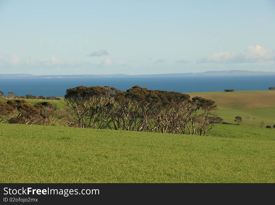 Picture of a landscape with hills and ocean in the background